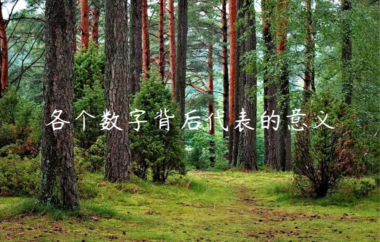 各個數字背后代表的意義