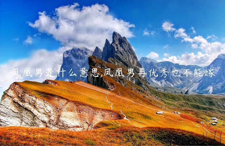 鳳凰男是什么意思,鳳凰男再優秀也不能嫁
