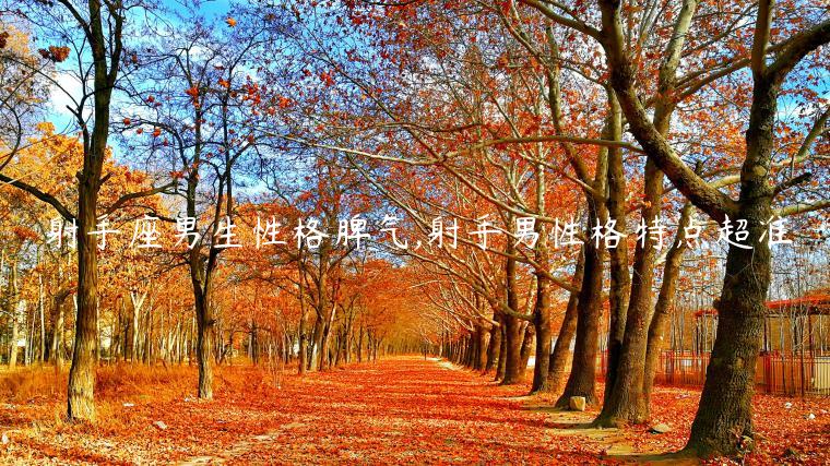 射手座男生性格脾氣,射手男性格特點超準