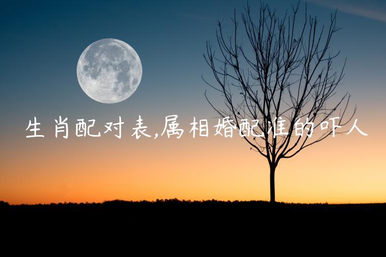 生肖配對表,屬相婚配準的嚇人
