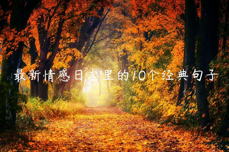 最新情感日志里的10個經典句子