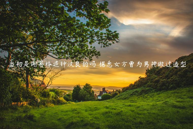 當初是謝易樺追鐘漢良的嗎 據悉女方曾為男神做過造型