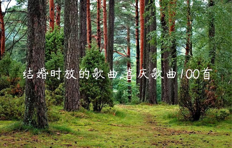 結婚時放的歌曲,喜慶歌曲100首