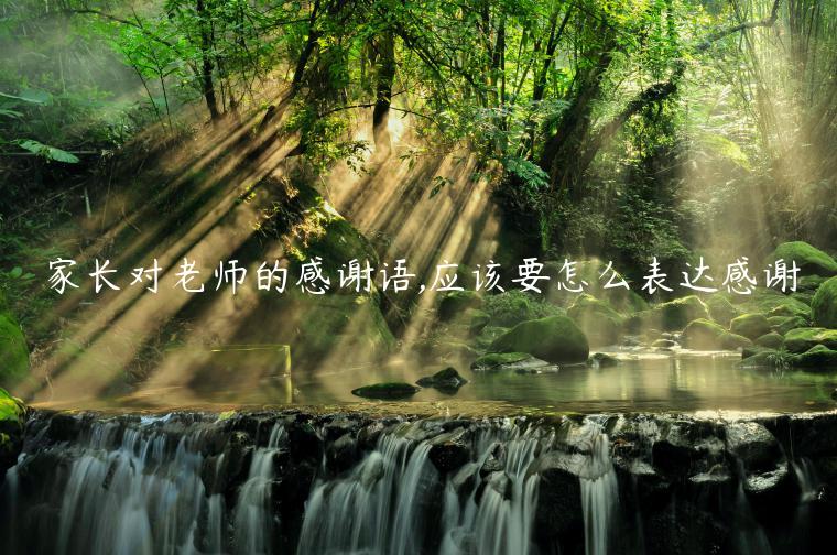 家長對老師的感謝語,應(yīng)該要怎么表達(dá)感謝