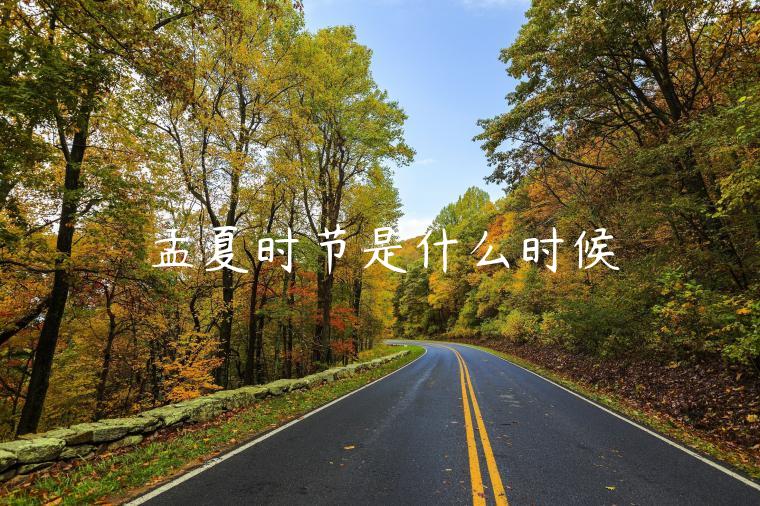 孟夏時節是什么時候