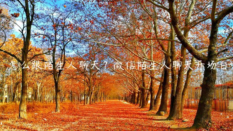 怎么跟陌生人聊天？微信陌生人聊天開場白