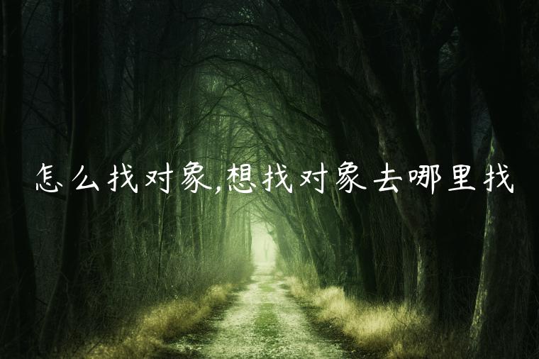 怎么找對象,想找對象去哪里找