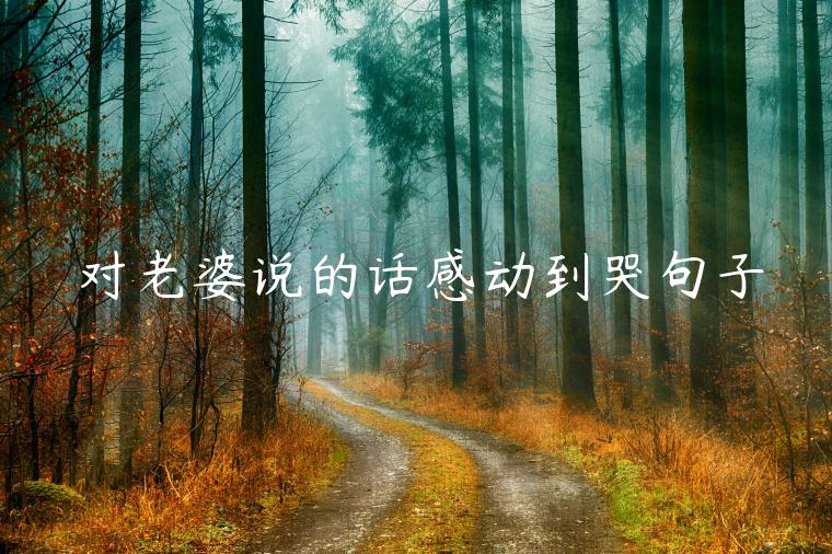 對(duì)老婆說的話感動(dòng)到哭句子