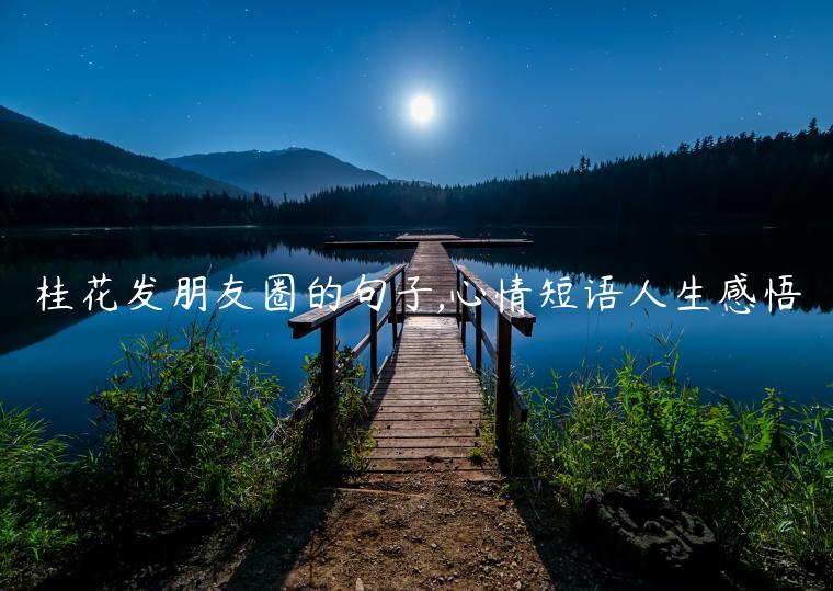 桂花發朋友圈的句子,心情短語人生感悟