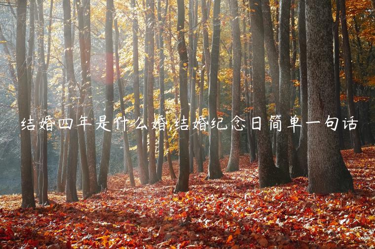 結婚四年是什么婚,結婚紀念日簡單一句話