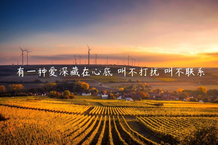 有一種愛深藏在心底 叫不打擾 叫不聯(lián)系