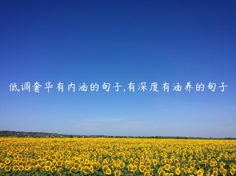 低調奢華有內涵的句子,有深度有涵養的句子