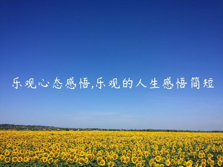 樂觀心態(tài)感悟,樂觀的人生感悟簡(jiǎn)短