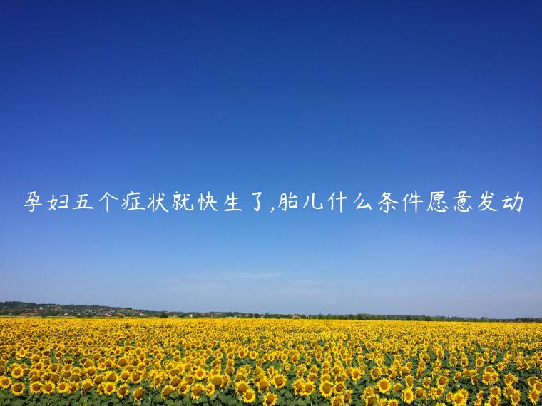 孕婦五個癥狀就快生了,胎兒什么條件愿意發動