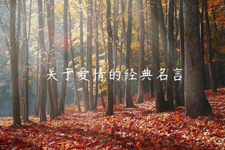 關于愛情的經(jīng)典名言