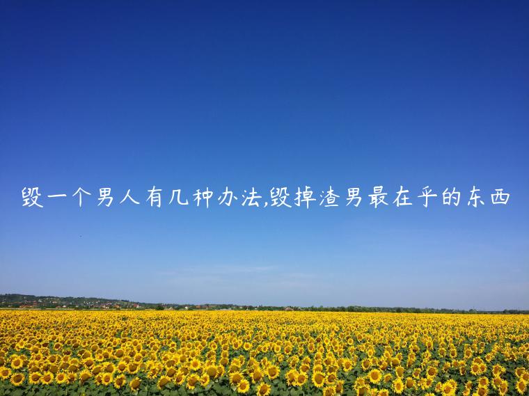 毀一個(gè)男人有幾種辦法,毀掉渣男最在乎的東西