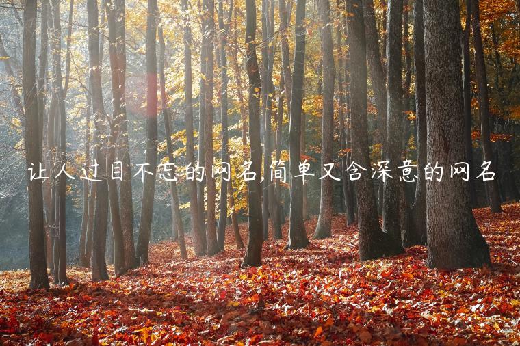 讓人過目不忘的網名,簡單又含深意的網名