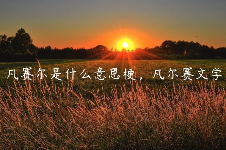 凡賽爾是什么意思梗，凡爾賽文學(xué)