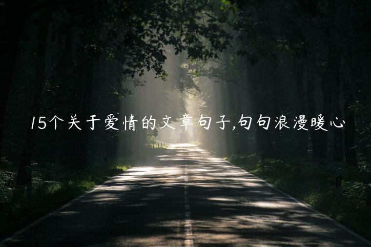 15個(gè)關(guān)于愛(ài)情的文章句子,句句浪漫暖心