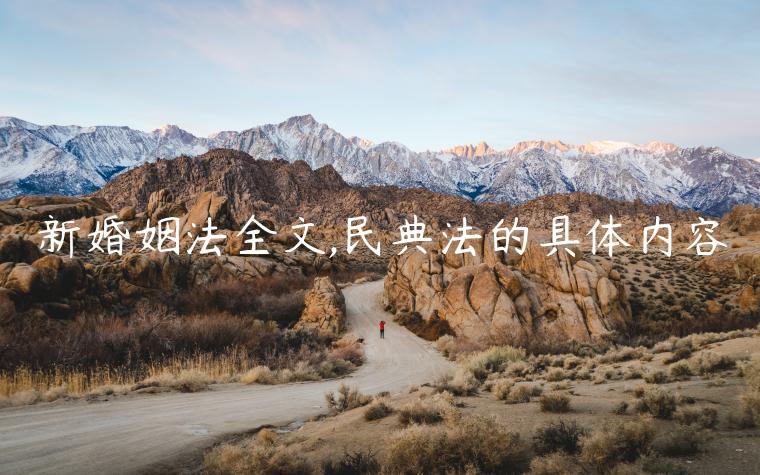 新婚姻法全文,民典法的具體內容