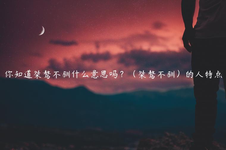 你知道桀驁不馴什么意思嗎？（桀驁不馴）的人特點