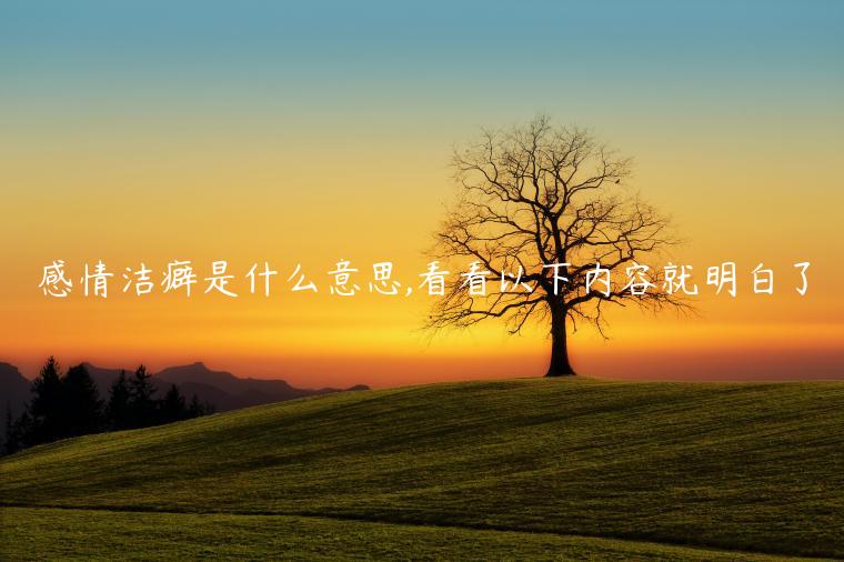 感情潔癖是什么意思,看看以下內容就明白了