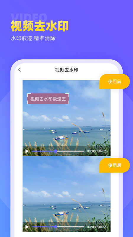 視頻去水印極速王1