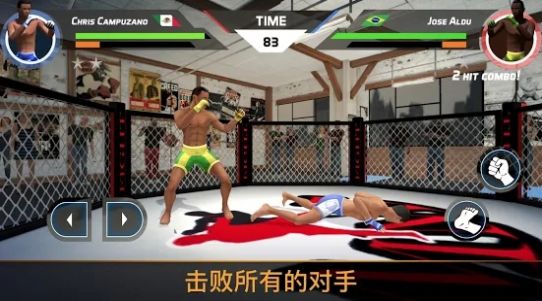 MMA格斗比賽3d0