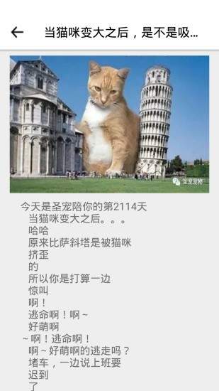 寶貝寵物1