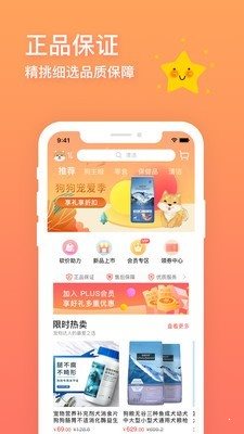 卡多格寵物2