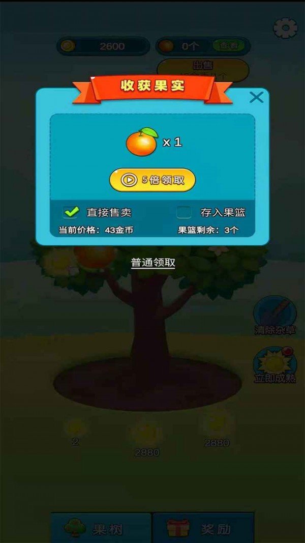 柚子熟了0