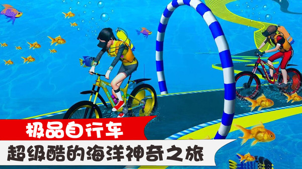 極品自行車1