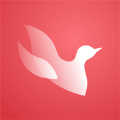 溯鳥(niǎo)課堂