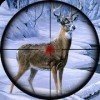 動物終極獵人