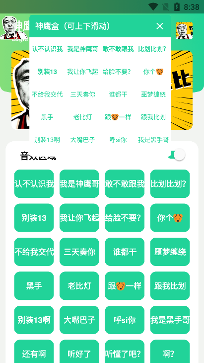 神鷹盒1.00