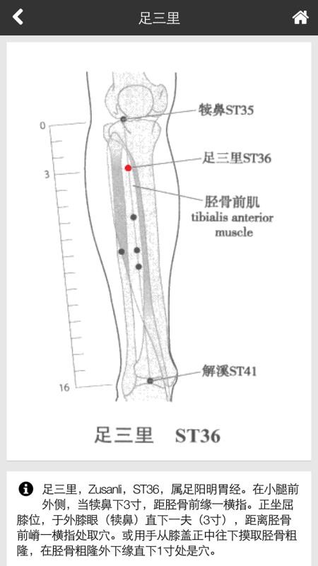 中醫(yī)全科專家系統(tǒng)3