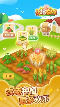 小豬農場2