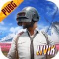 pubg mobile國(guó)際服安卓