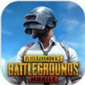 pubg mobile國(guó)際服手游