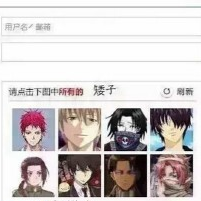 12306驗證碼惡搞軟件