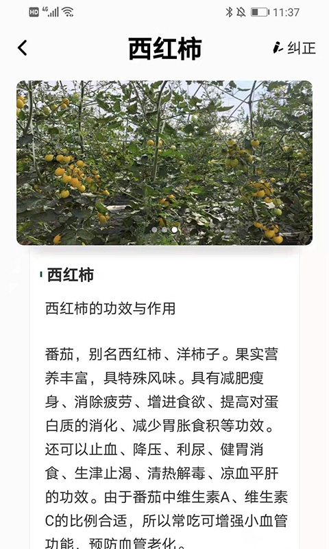 植物科普百科2