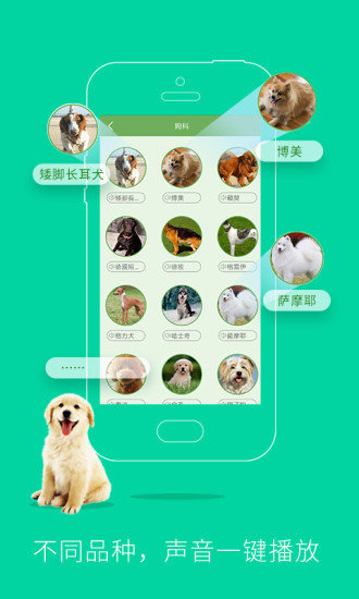 人狗人貓交流器1
