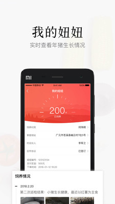 豬兒妞妞3