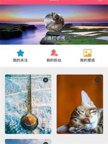 Popic壁紙2