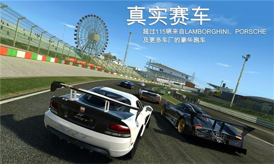 真實(shí)賽車3北美版3