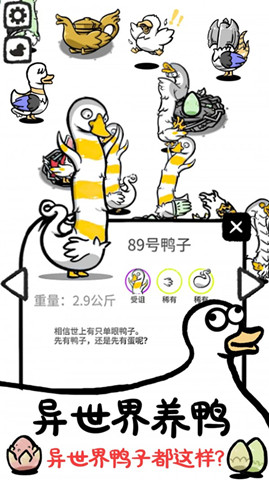 神奇的鴨子0