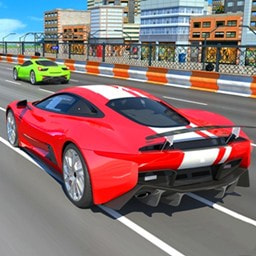 真實(shí)汽車訓(xùn)練駕駛無限金幣版