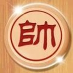 中國象棋巔峰對弈