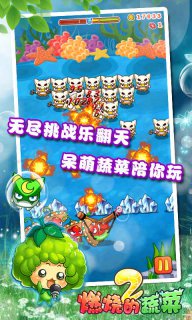 燃燒的蔬菜2無限寶石版2