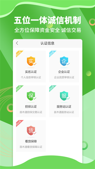 苗木通2